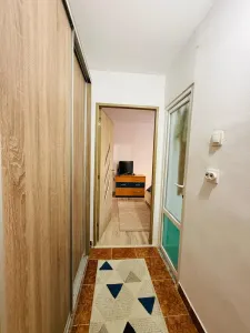 Apartament 2 camere Timișoara - poza 7