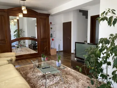 Casă 5 camere Timișoara - poza 2