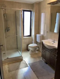 Casă 5 camere Timișoara - poza 8