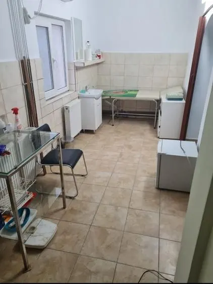 Spațiu comercial Timișoara - poza 1
