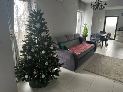 Casă 5 camere Timișoara - poza 11
