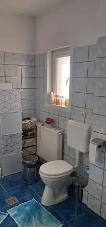 Casă 7 camere Timișoara - poza 12