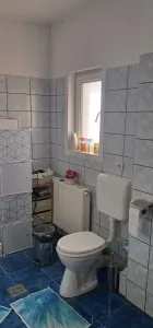 Casă 7 camere Timișoara - poza 12