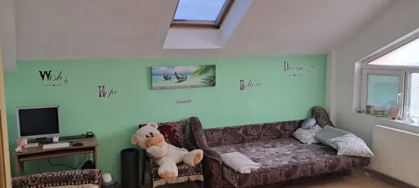 Casă 7 camere Timișoara - poza 13