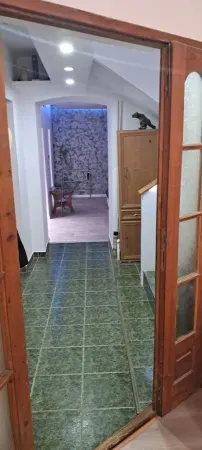 Casă 7 camere Timișoara - poza 14