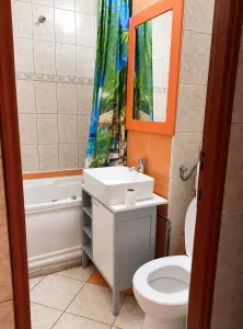 Apartament 3 camere Timișoara - poza 5
