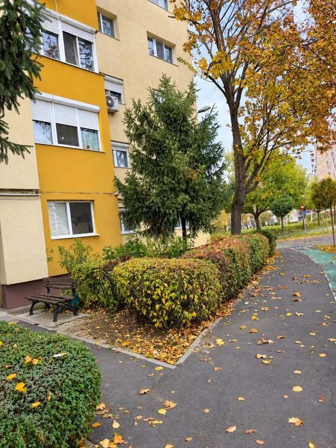 Apartament 3 camere Timișoara - poza 1