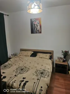 Apartament 2 camere Timișoara - poza 2