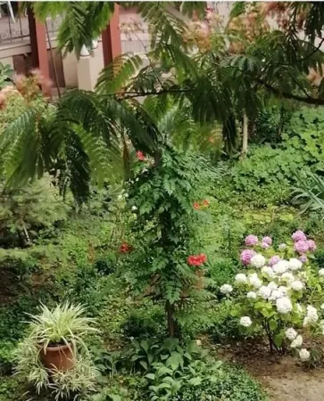 Apartament 2 camere Timișoara - poza 16