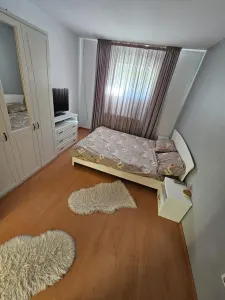 Casă 3 camere Timișoara - poza 4