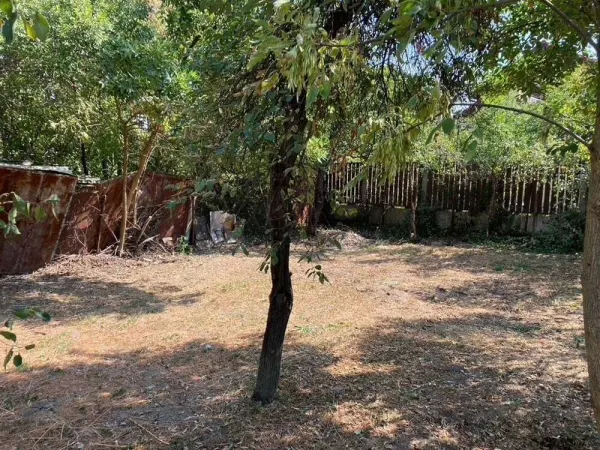 Teren Timișoara - poza 4