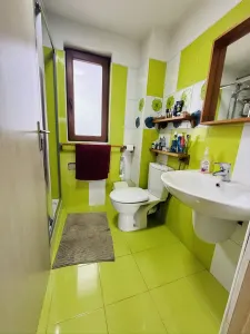 Casă 9 camere Timișoara - poza 25