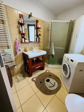 Casă 9 camere Timișoara - poza 26