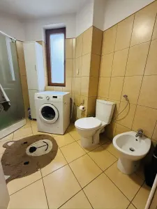 Casă 9 camere Timișoara - poza 27