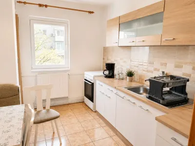 Apartament 4 camere Timișoara - poza 4