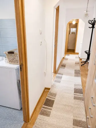 Apartament 4 camere Timișoara - poza 5