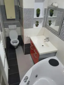Casă 3 camere Timișoara - poza 6