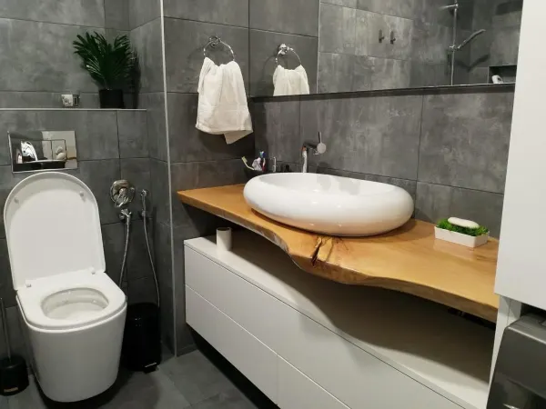 Casă 10 camere Timișoara - poza 15