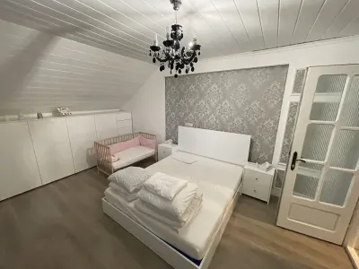 Casă 10 camere Timișoara - poza 9