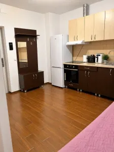 Apartament 2 camere Timișoara - poza 6
