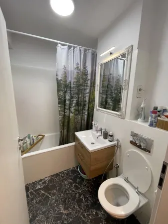 Apartament 2 camere Timișoara - poza 16