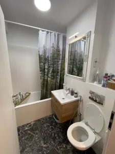 Apartament 2 camere Timișoara - poza 16