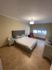 Apartament 2 camere Timișoara - poza 8