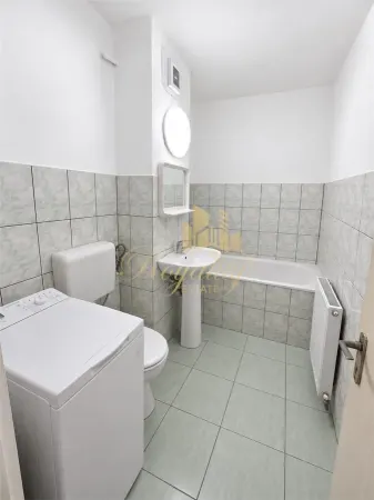 Apartament 1 camera Timișoara - poza 8