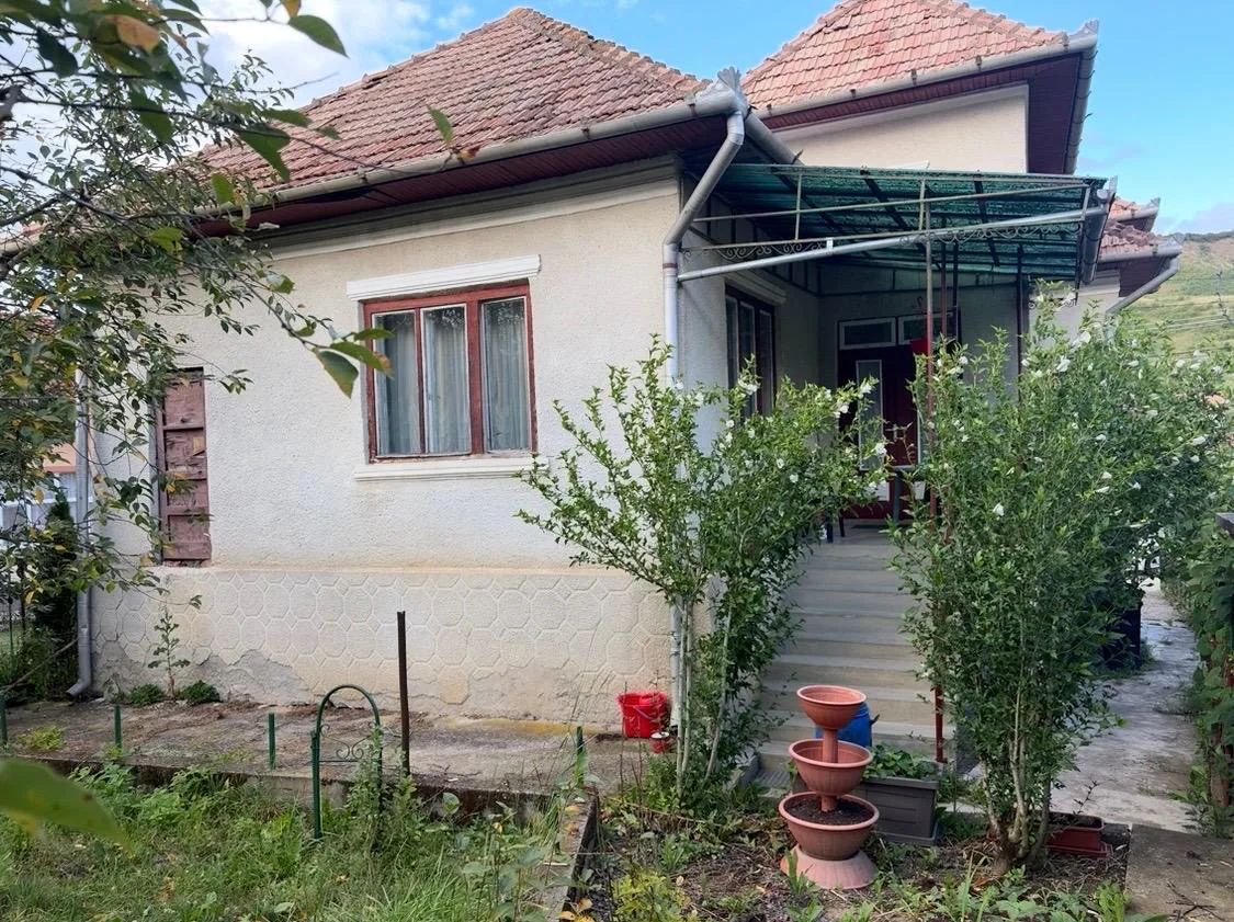 Casă 3 camere Visea - poza 2