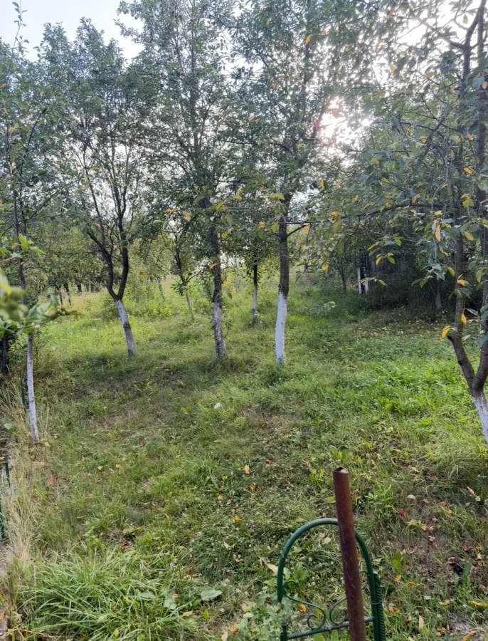 Casă 3 camere Visea - poza 4
