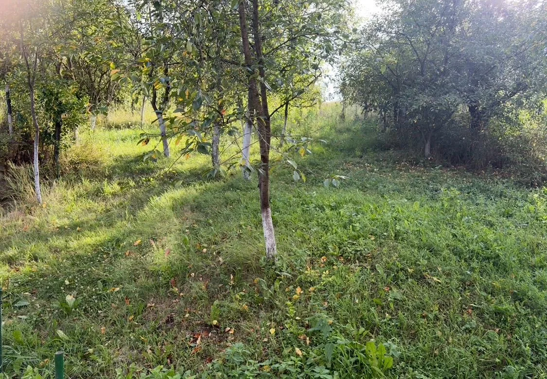 Casă 3 camere Visea - poza 6