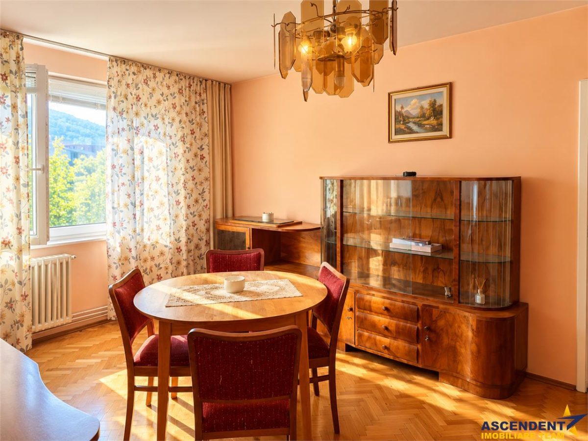 Pet friendly! Apartament doua camere, Bulevardul Victoriei, Brasov - Brasov