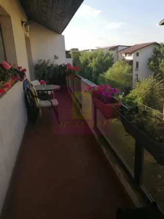 Apartament 3 camere Bragadiru - poza 3