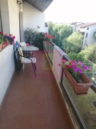 Apartament 3 camere Bragadiru - poza 4