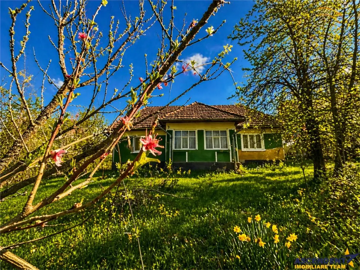 Casă 2 camere Suveica - poza 1