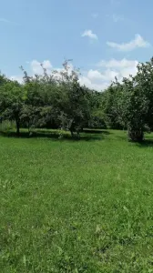 Teren de vanzare – 1.954 mp, cu utilitati disponibile! - Teisani