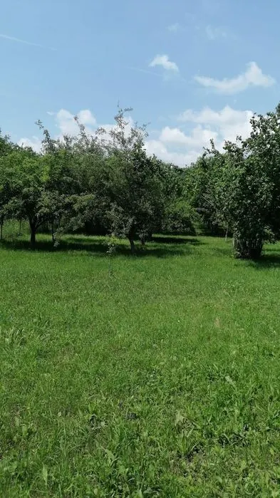 Teren Teisani - poza 1