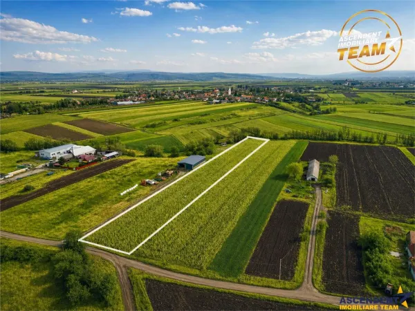 Teren Dobolii de Jos - poza 1