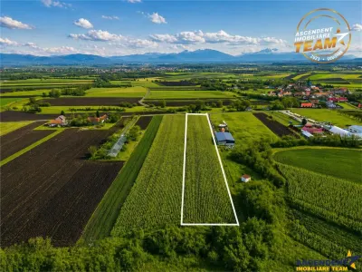 Teren Dobolii de Jos - poza 3