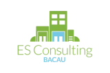 Es Consulting